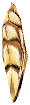 Item 13/468